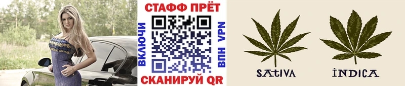 Псилоцибиновые грибы Курильск