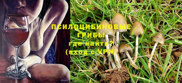 a pvp Чекалин