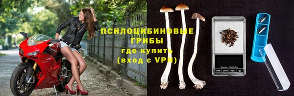 a pvp Чекалин